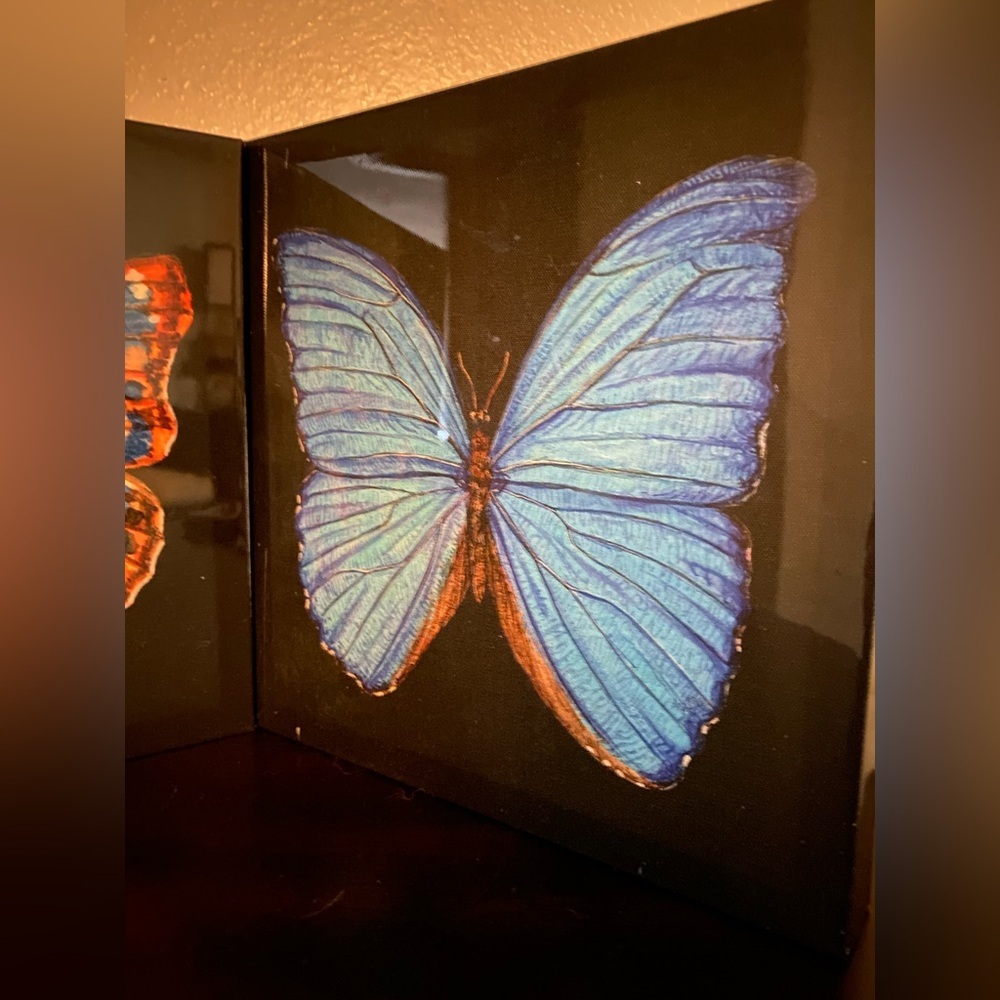 Butterfly Canvas Wall Art Set | Blue & Orange Nature Decor 12x12 - Picture 6 of 7